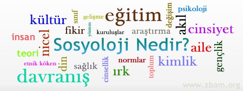 Sosyolojiye Giriş